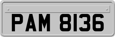 PAM8136