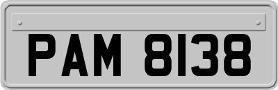 PAM8138