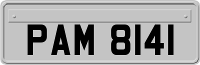 PAM8141