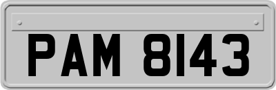 PAM8143