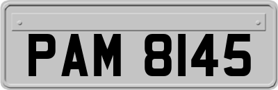 PAM8145