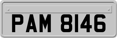 PAM8146