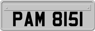 PAM8151