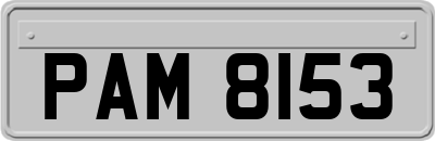 PAM8153