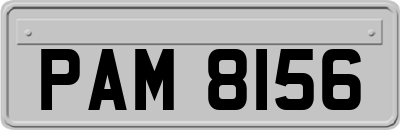 PAM8156