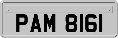 PAM8161