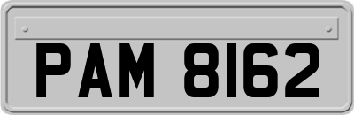 PAM8162