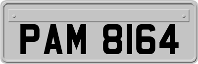 PAM8164
