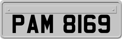 PAM8169