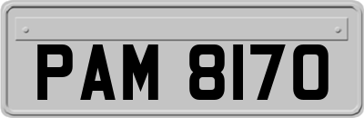 PAM8170