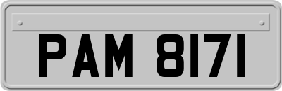 PAM8171