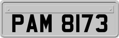 PAM8173