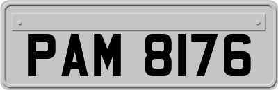 PAM8176