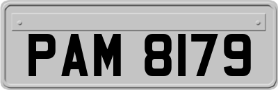 PAM8179