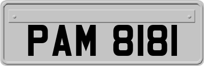 PAM8181