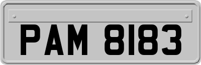 PAM8183