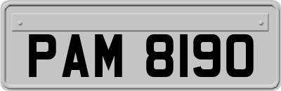 PAM8190