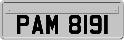 PAM8191