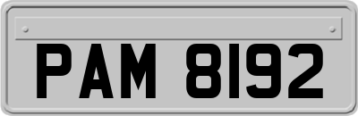 PAM8192