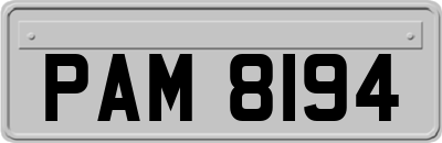 PAM8194