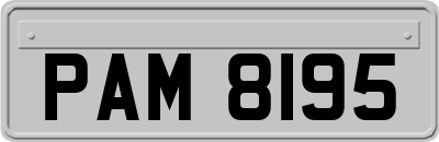 PAM8195