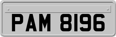 PAM8196
