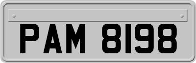PAM8198