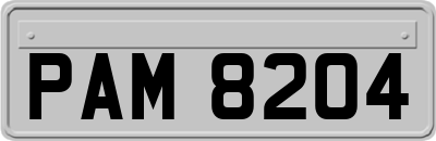 PAM8204