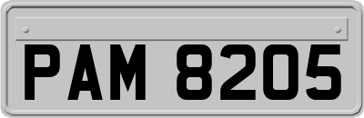 PAM8205