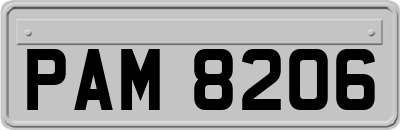 PAM8206