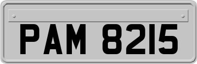 PAM8215
