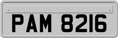 PAM8216