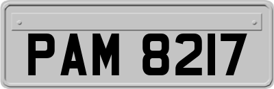 PAM8217