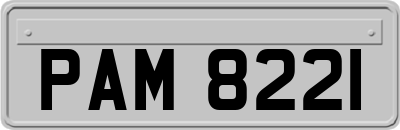 PAM8221