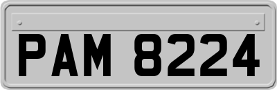 PAM8224