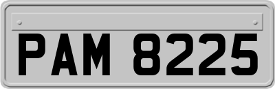 PAM8225