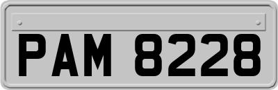 PAM8228