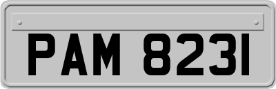 PAM8231