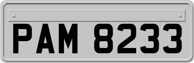 PAM8233