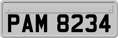 PAM8234