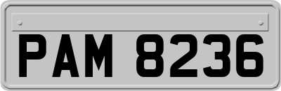 PAM8236