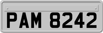 PAM8242