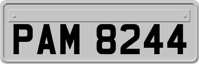 PAM8244