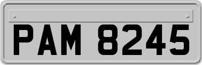 PAM8245