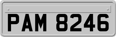 PAM8246