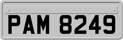 PAM8249
