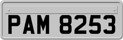 PAM8253