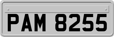 PAM8255