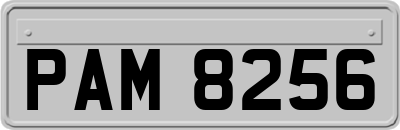 PAM8256