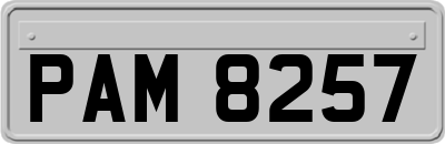 PAM8257